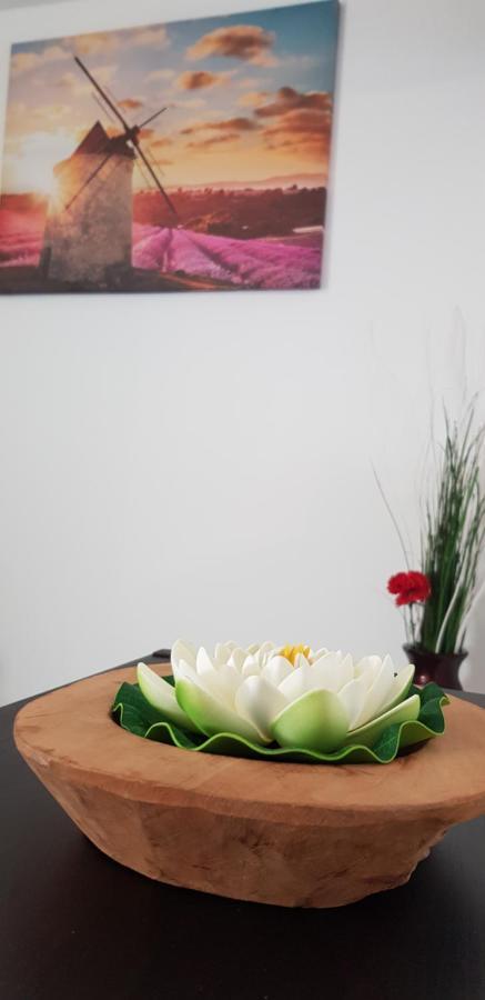 Maximilian Seven Hotel Aiello del Friuli Ngoại thất bức ảnh